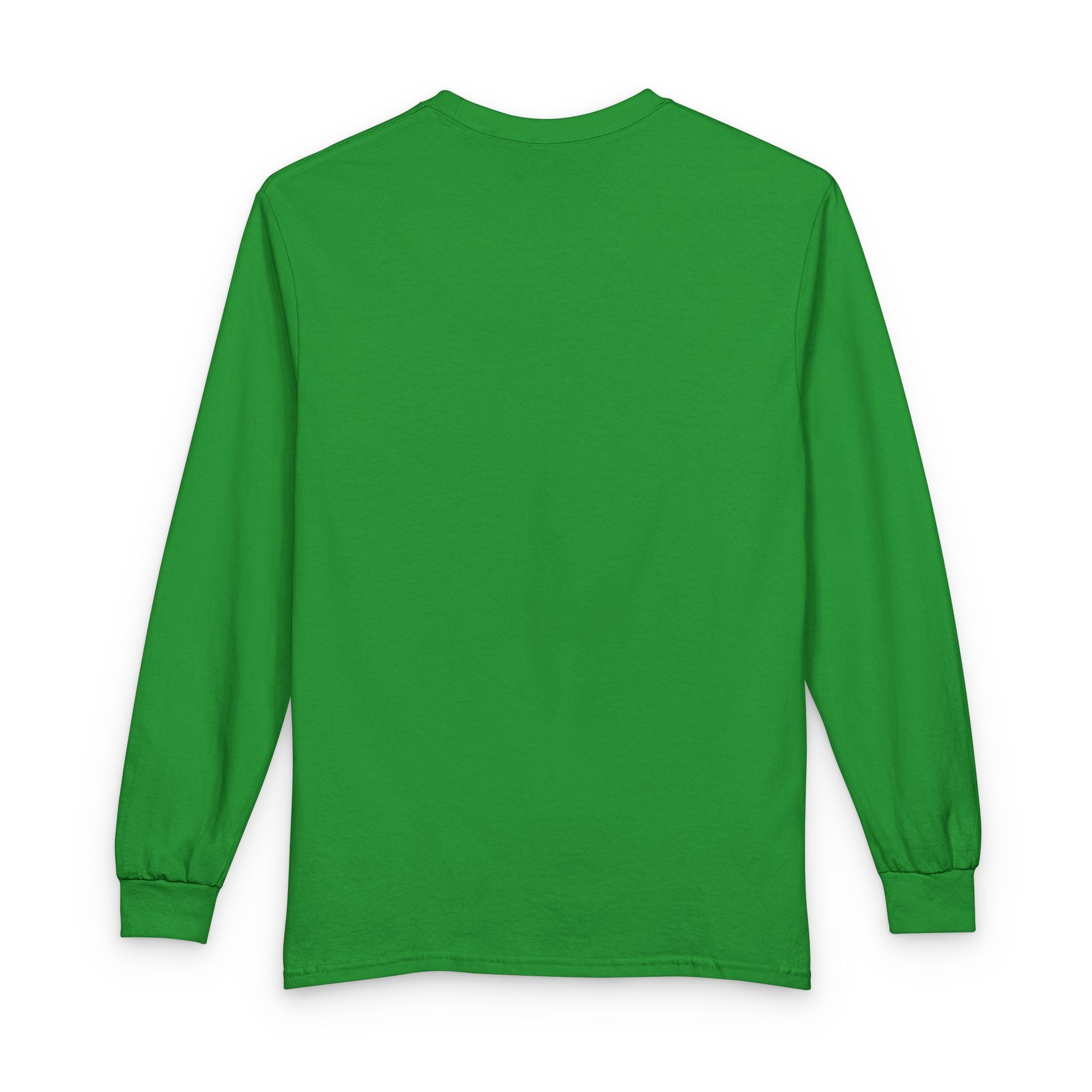 Irish For The Day Long Sleeve Tee — Irish Flag St. Patrick’s Day Shirt