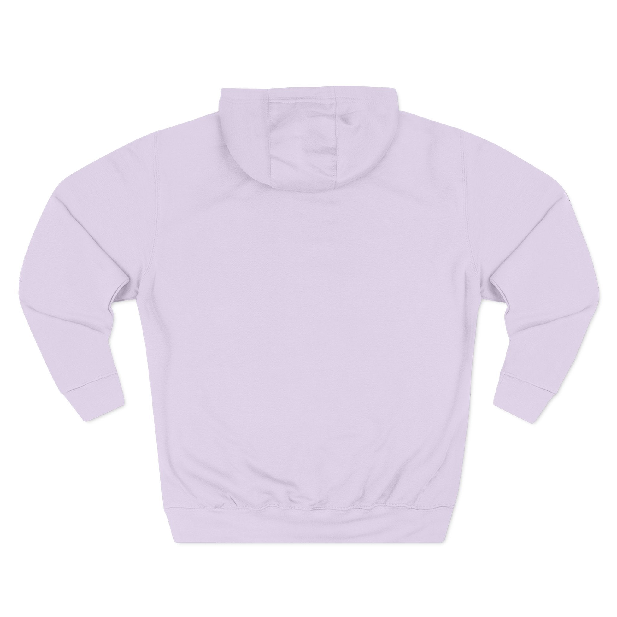 Happy Teddy Embroidered Hoodie